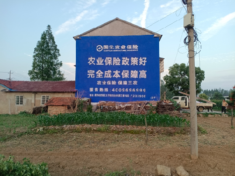 博白墙体广告的优劣势你知道吗？